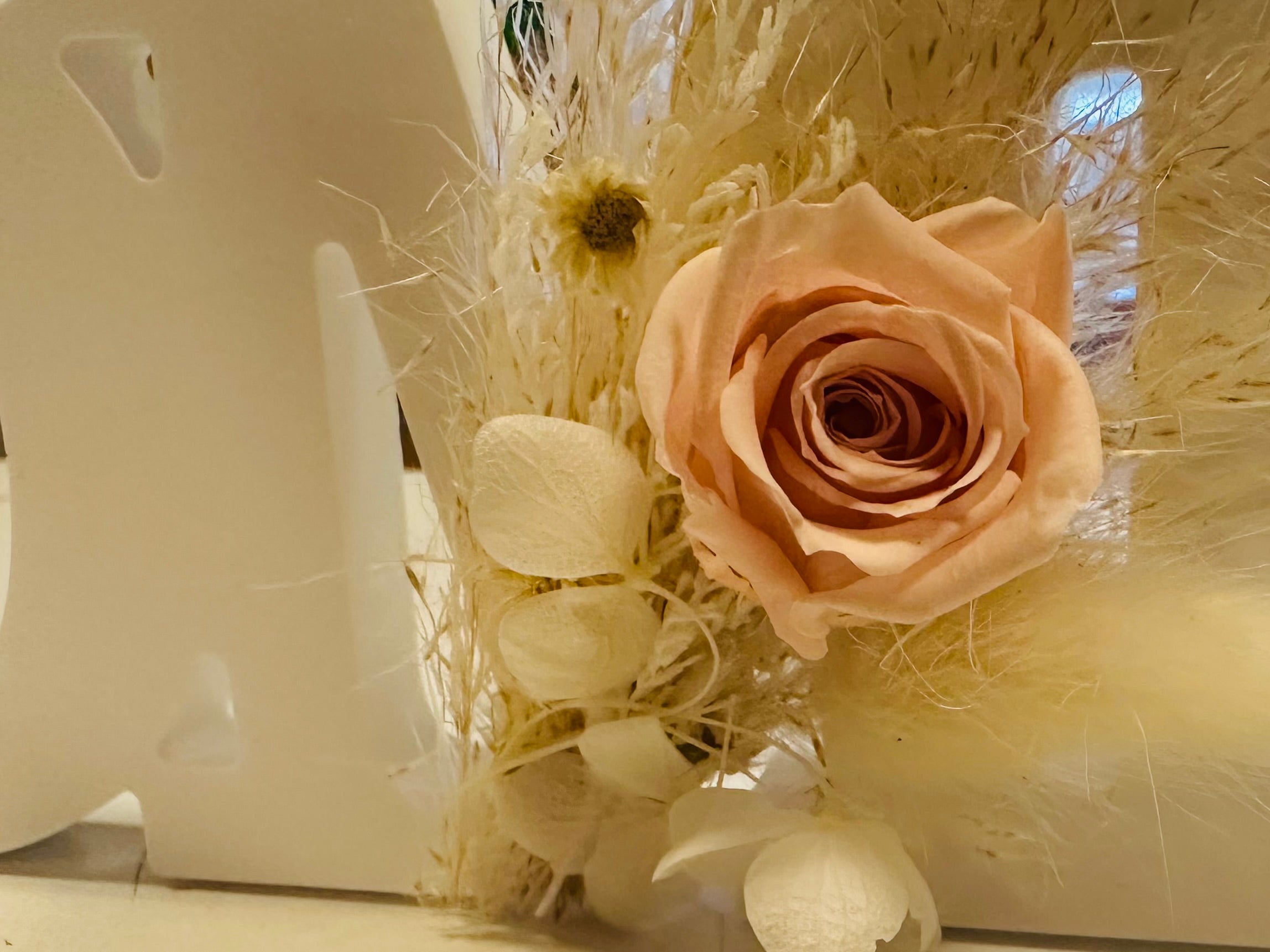 Home Schriftzug mit echten konservierten Rosen